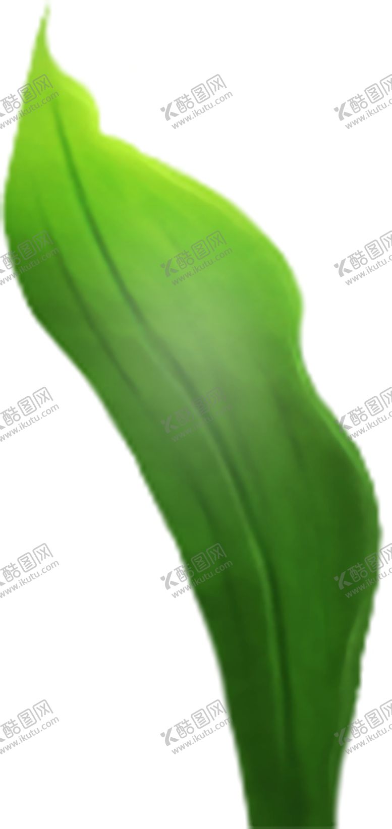 编号：62637010091148003798【酷图网】源文件下载-绿色装饰