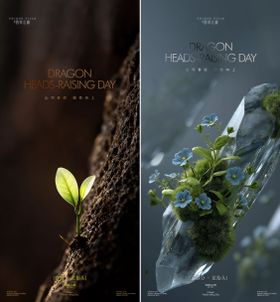 龙抬头春分节气海报