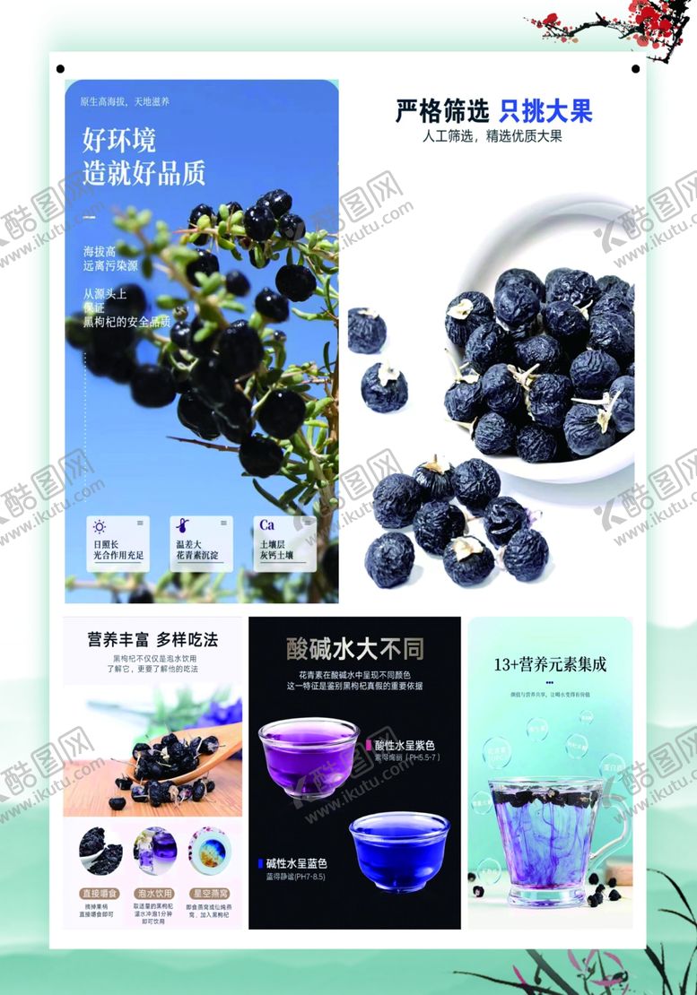 编号：90015810311616052087【酷图网】源文件下载-黑枸杞