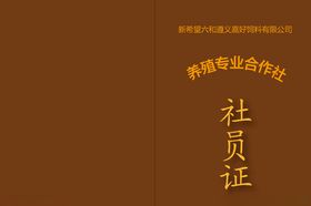证书设计