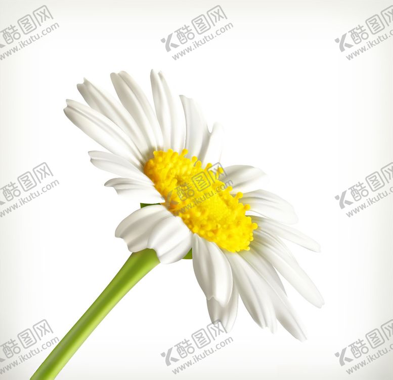 编号：95896910290826468202【酷图网】源文件下载-卡通花朵