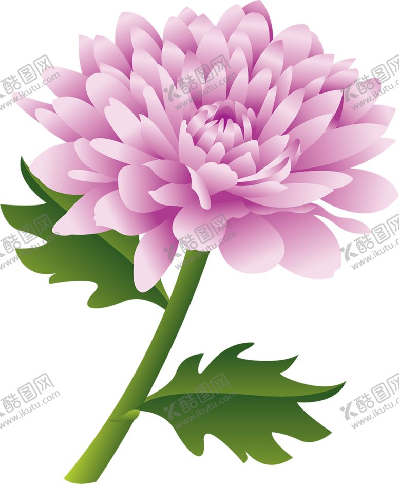 编号：61360010271027544372【酷图网】源文件下载-鲜花素材