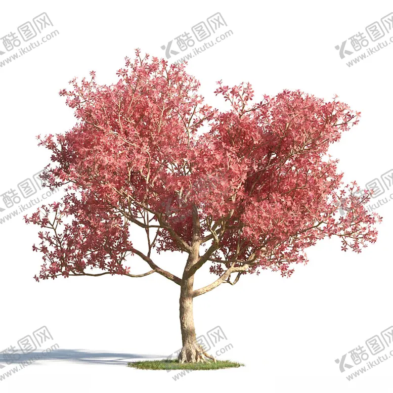 编号：48994602120421083485【酷图网】源文件下载-C4D模型树