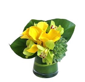 花艺柱绿植盆鲜