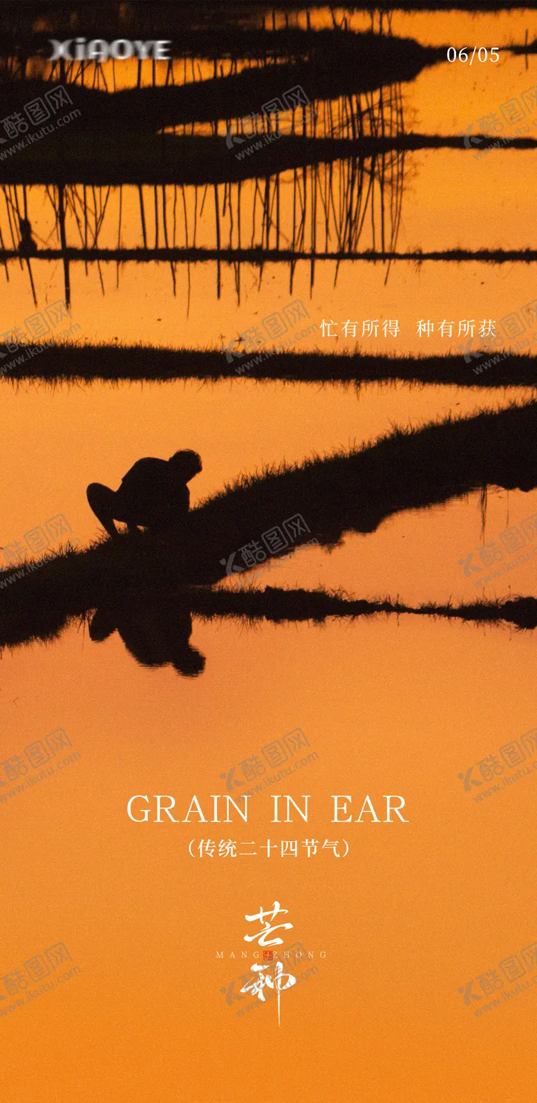 编号：54513106151846448393【酷图网】源文件下载-芒种橙色海报