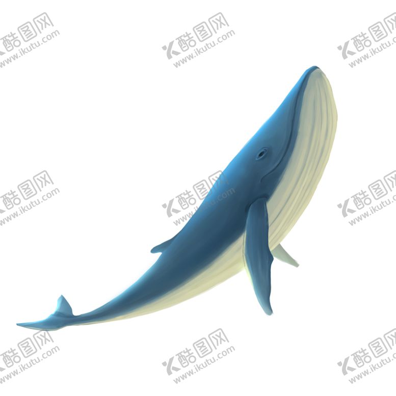 编号：79286910031317358438【酷图网】源文件下载-海豚