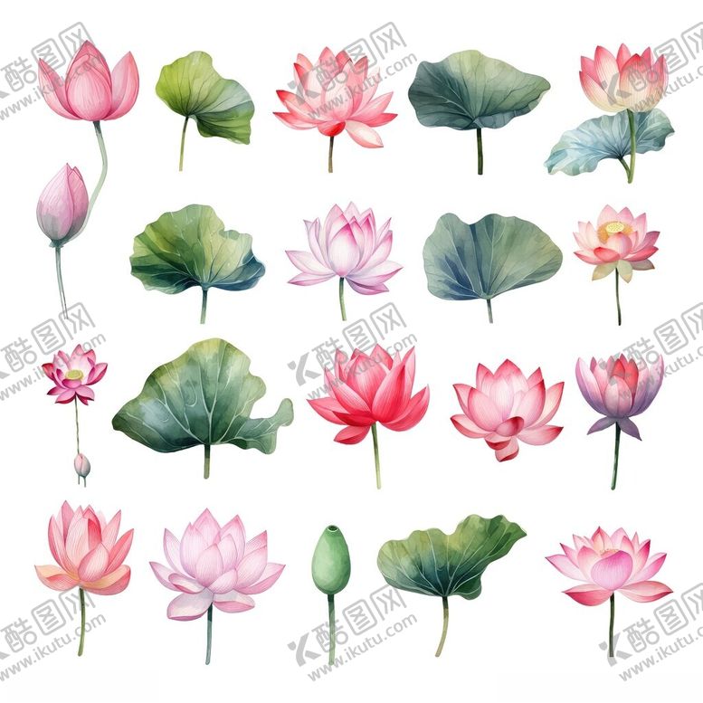 编号：85606211200307452981【酷图网】源文件下载-水彩绘荷花与荷叶图案