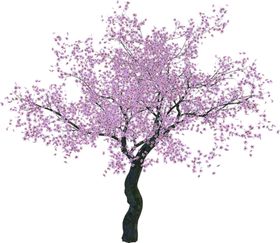 粉色樱花装饰