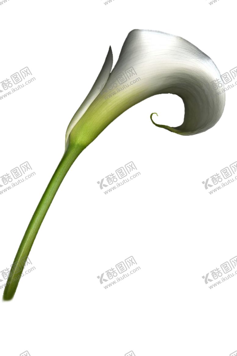 编号：21568009261328068005【酷图网】源文件下载-鲜花素材