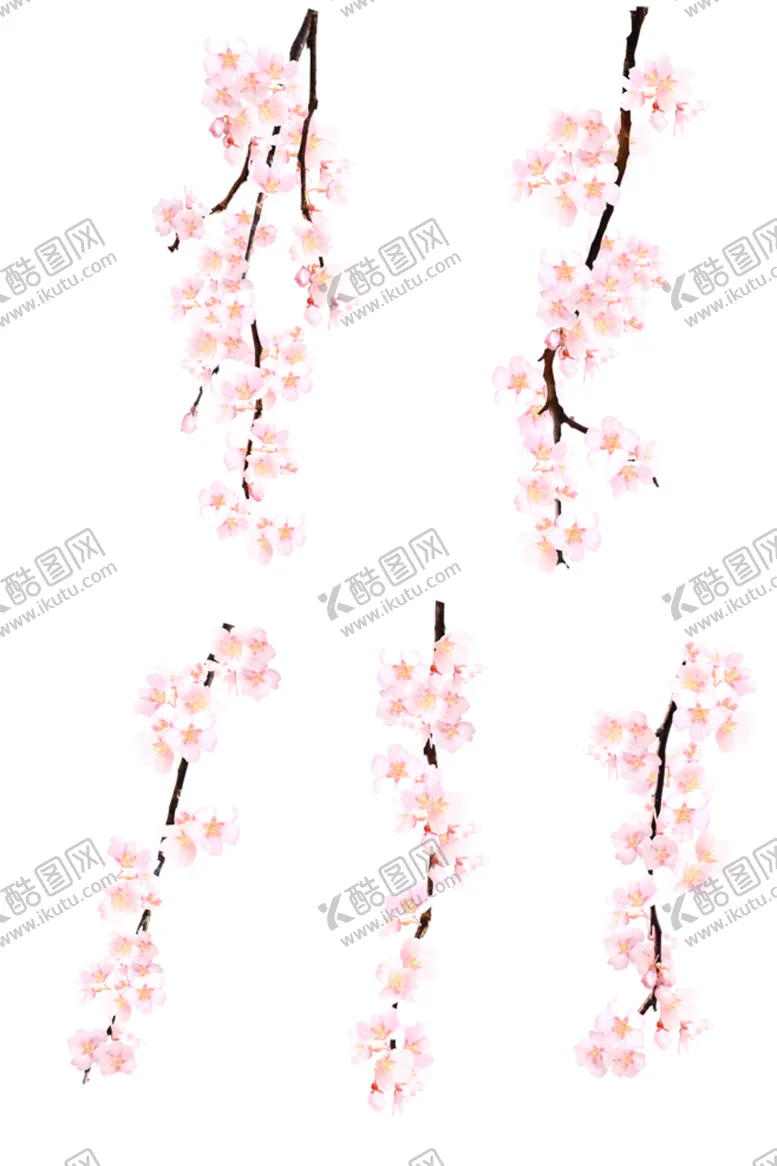 编号：60397409091650557701【酷图网】源文件下载-花枝
