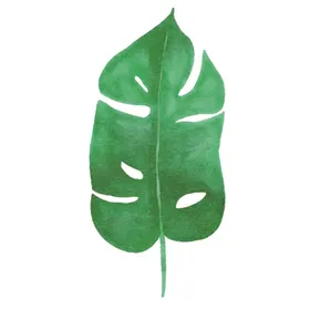 绿色水彩植物树叶