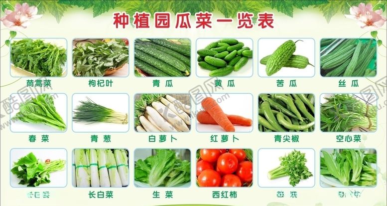 编号：13159009232220007497【酷图网】源文件下载-新鲜蔬菜