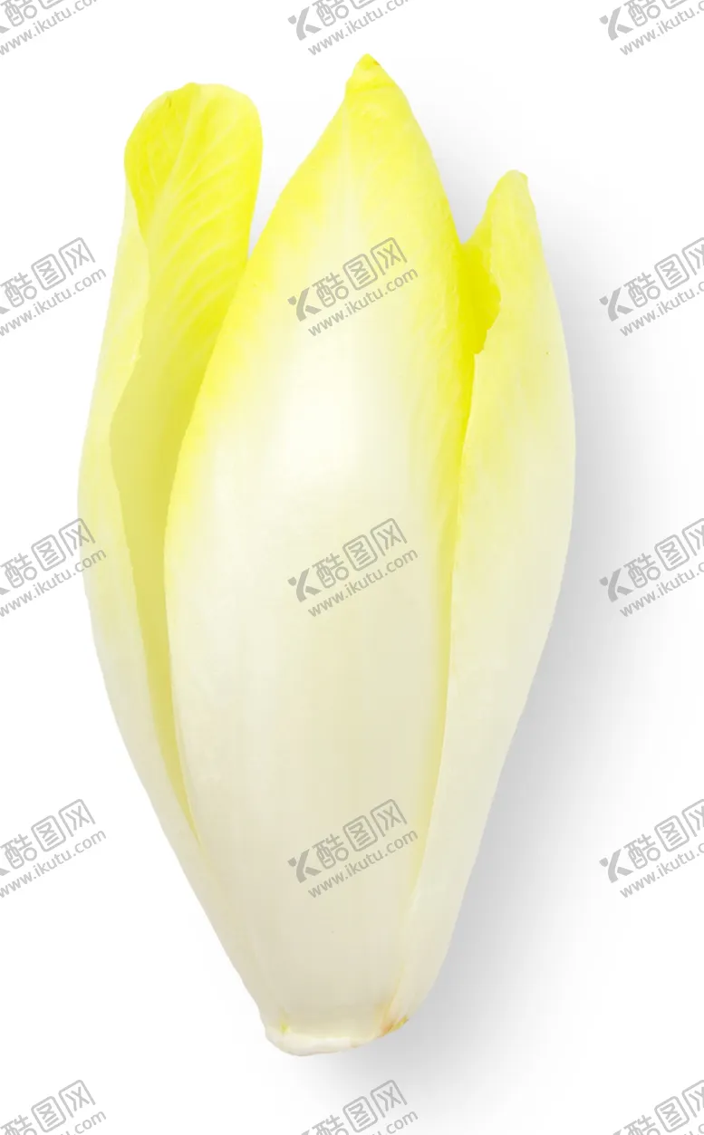 编号：32112303300520022179【酷图网】源文件下载-小白菜