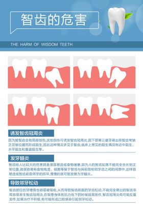 编号：31762509241347554312【酷图网】源文件下载-牙齿模型