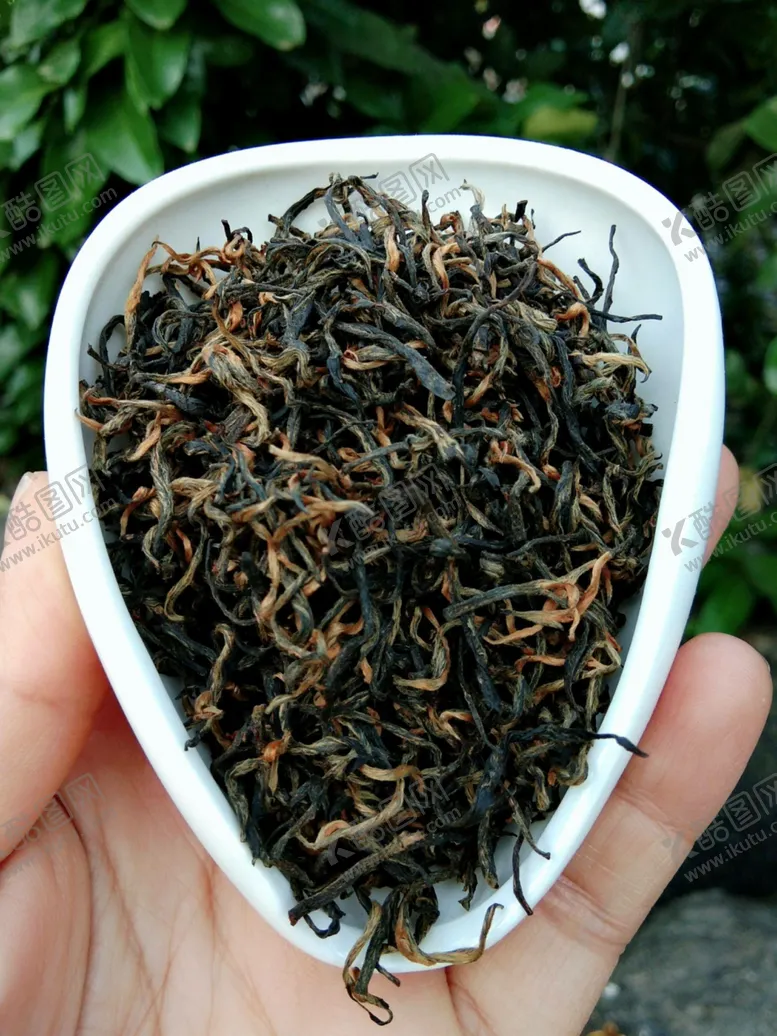 编号：33290311250646523879【酷图网】源文件下载-红茶