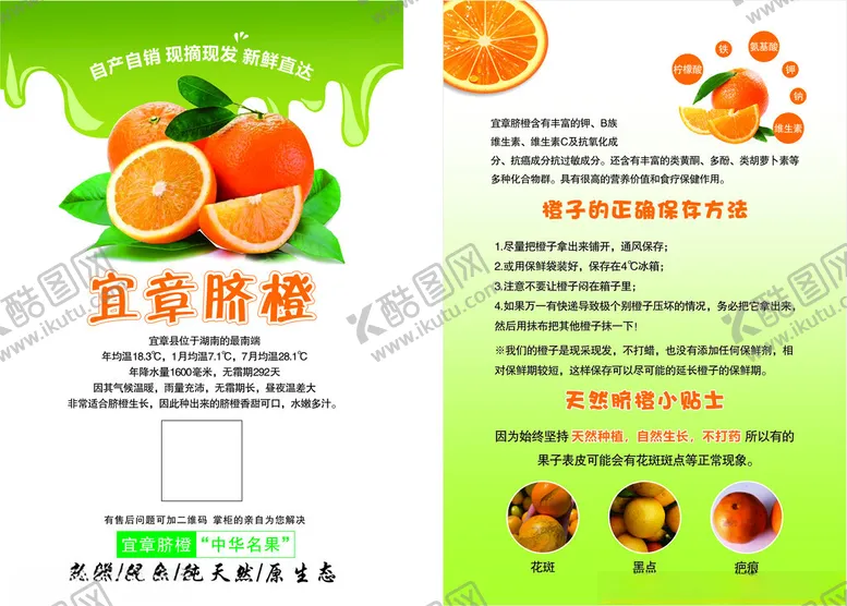 编号：43140202250338206504【酷图网】源文件下载-宜章脐橙