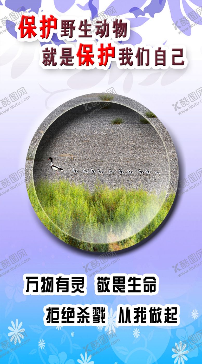 编号：29105410102305403594【酷图网】源文件下载-野生动物宣传图片