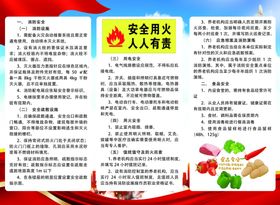 夏令营宣传页展示