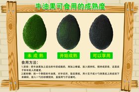 牛油果提示