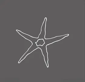 海星创意设计钳子深