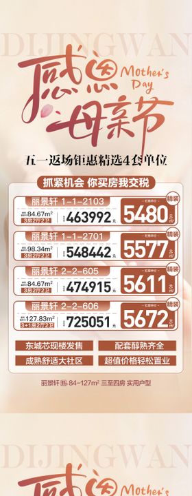 地产感恩母亲节特价房海报