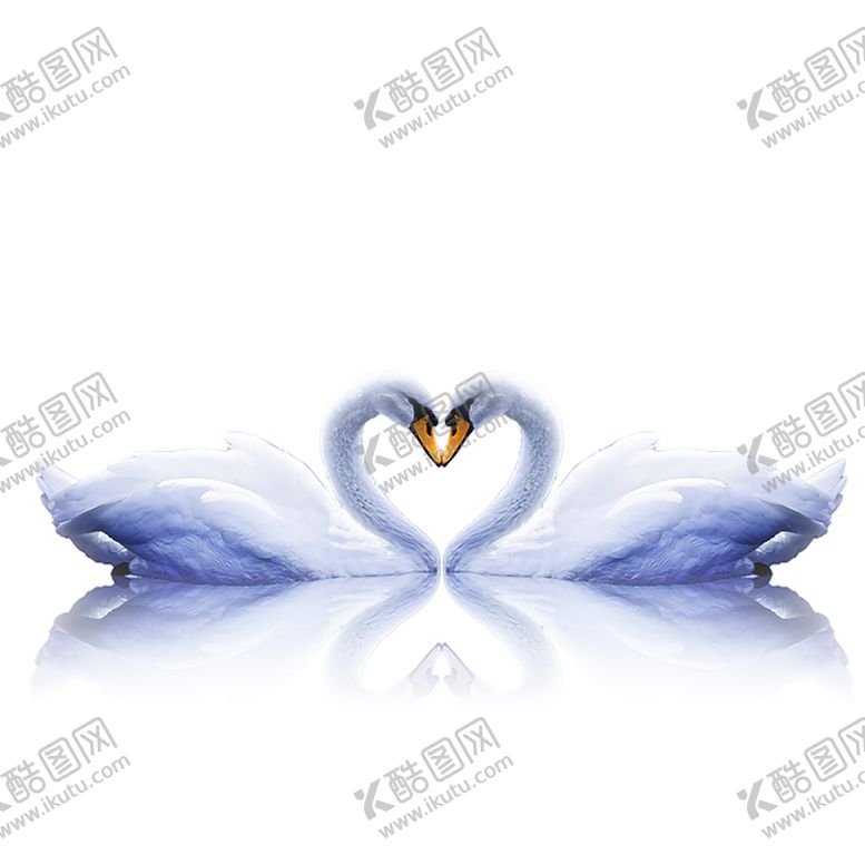 编号：42666010192206251906【酷图网】源文件下载-浪漫素材