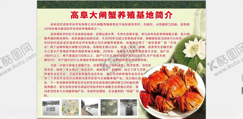 编号：48440310232035099214【酷图网】源文件下载-大闸蟹养殖基地