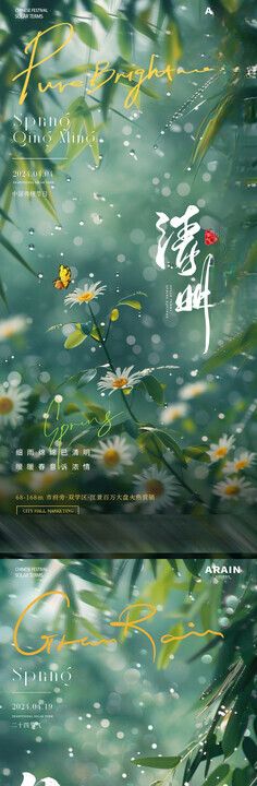 清明谷雨菊花竹子风景海报
