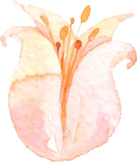 水彩手绘花卉花朵植物