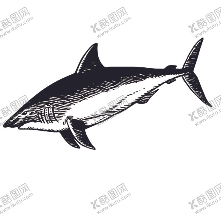 编号：68746409200027254304【酷图网】源文件下载-海洋生物鱼类图案