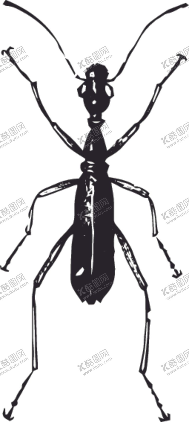 编号：69474207081250424344【酷图网】源文件下载-自然昆虫标本插画