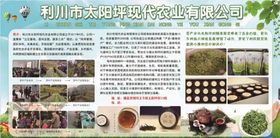 编号：35481709251112253284【酷图网】源文件下载-茶叶饮品活动宣传海报素材