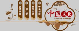 中医文化