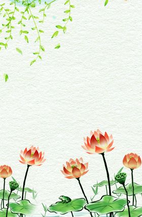 荷花插画海报图片无框展架唯美