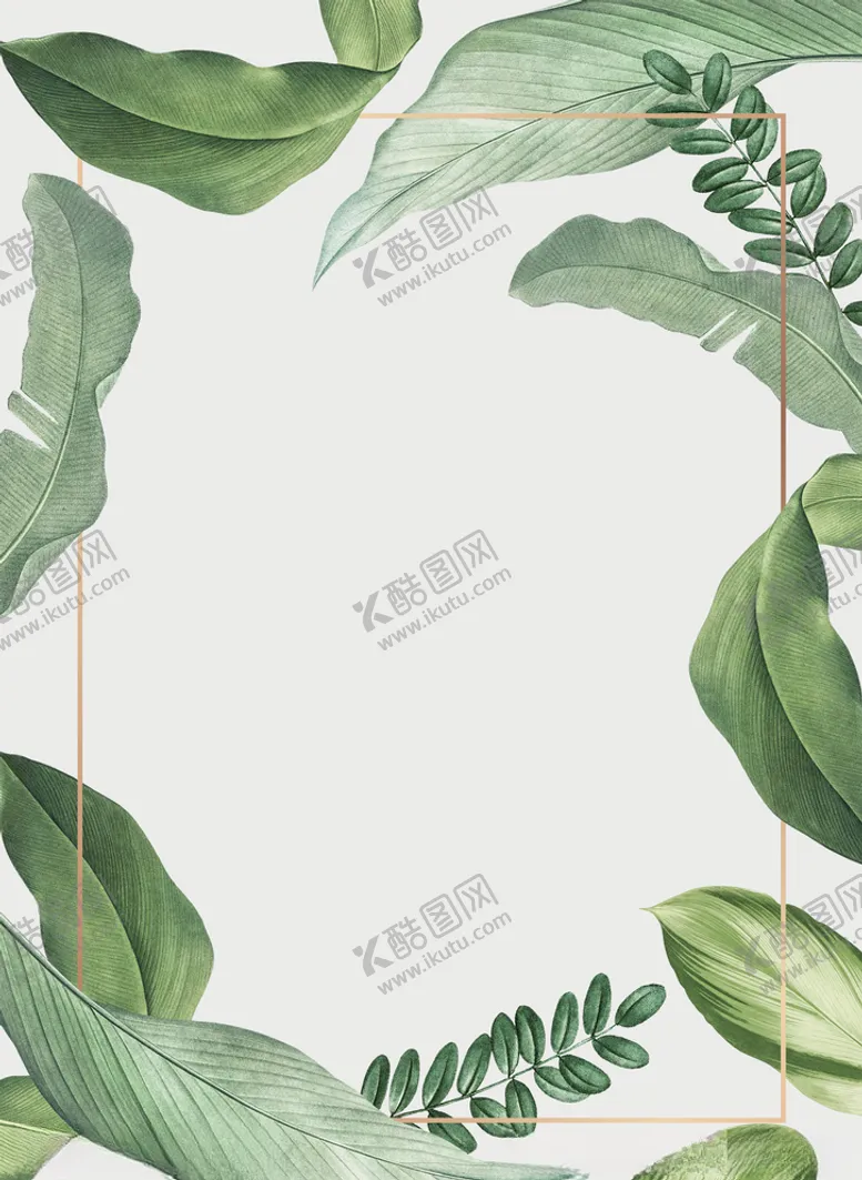 编号：16936105091716138119【酷图网】源文件下载-淡雅叶子边框PSD分层素材
