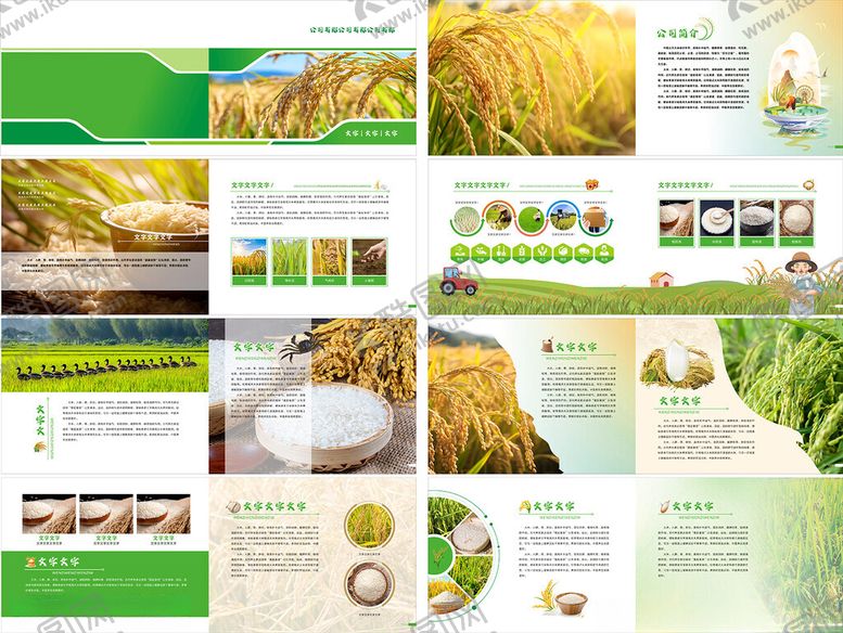 编号：40172012182029411855【酷图网】源文件下载-大米水稻画册