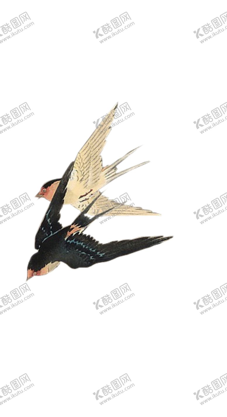 编号：59913709090300156111【酷图网】源文件下载-燕子素材