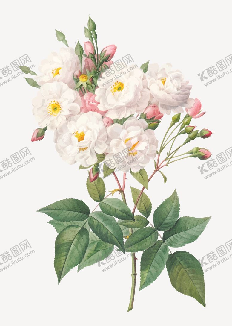 编号：24631406160322097138【酷图网】源文件下载-花卉