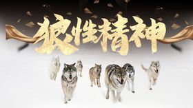 狼性精神