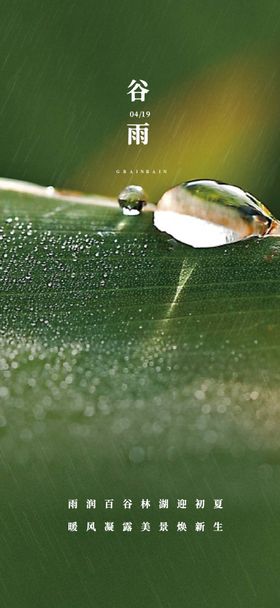 谷雨海报