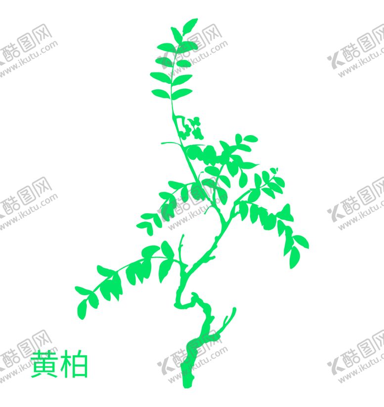 编号：48371610090924163167【酷图网】源文件下载-植物 草本 矢量图 中药