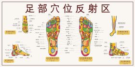 足部穴位图展板