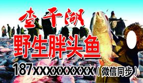 查干湖野生鱼