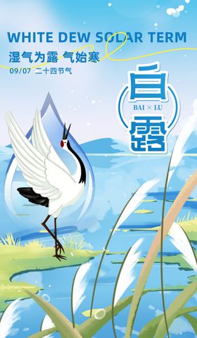 二十四节气白露海报为霜24