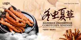 中医养生冬虫夏草展板设计