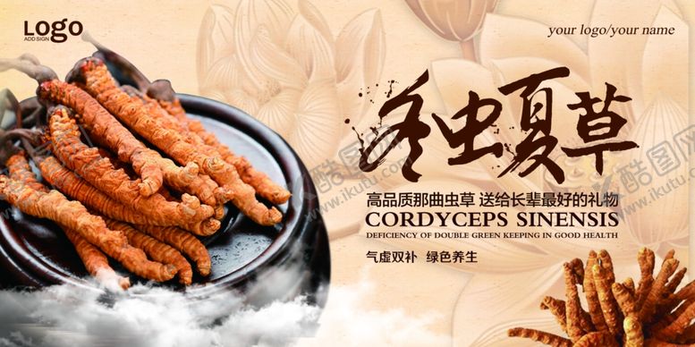 编号：99689507072139184520【酷图网】源文件下载-中医养生冬虫夏草展板设计
