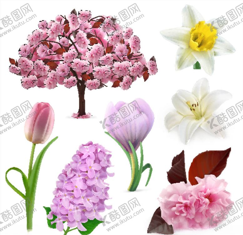 编号：67582710150227206583【酷图网】源文件下载-矢量时尚花朵