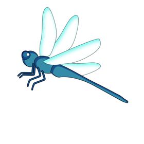 蜻蜓