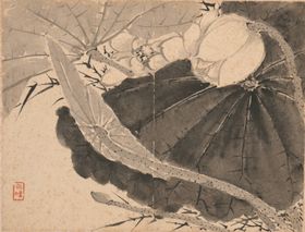 国画花鸟