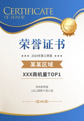 荣誉证书单位空白模板培训